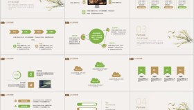 淡雅清新小花植物PPT模板