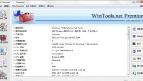 系统优化软件 WinTools net Premium v25.1.1 中文版