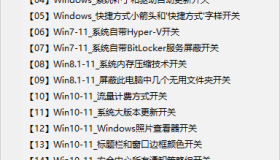 Windows 系统调校工具v20240725