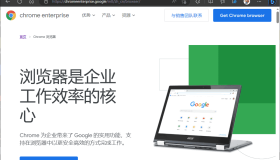 企业浏览器以及它们如何提高您的安全性？