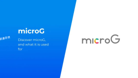 谷歌 GMS 框架开源代替品 / 华为安装谷歌框架：microG