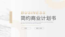 简约淡雅白金配色商业计划书PPT模板免费下载