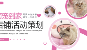 粉色小猫背景的萌宠到家店铺活动策划PPT模板