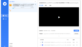 迅雷去广告SVIP安装版 10.1.38.890、11.1.4.1142
