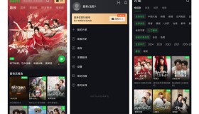爱奇艺 APP 谷歌商店版（6.11.0.(710012）